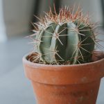 Novedades para este otoño